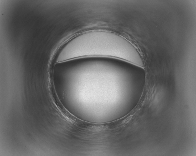 X0000075350245200609080820