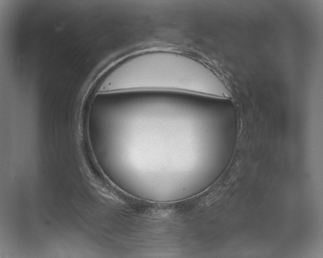 X0000075350247200609080820