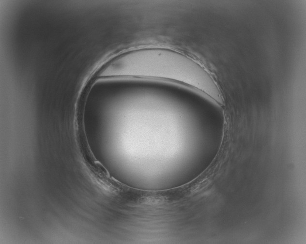 X0000075350248200609080820