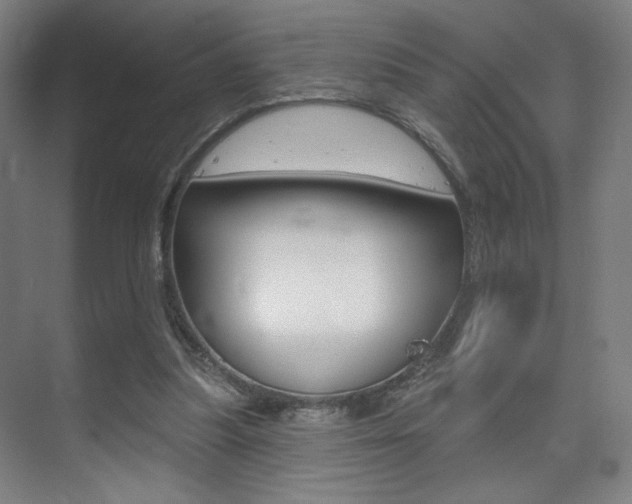 X0000075350251200609080820