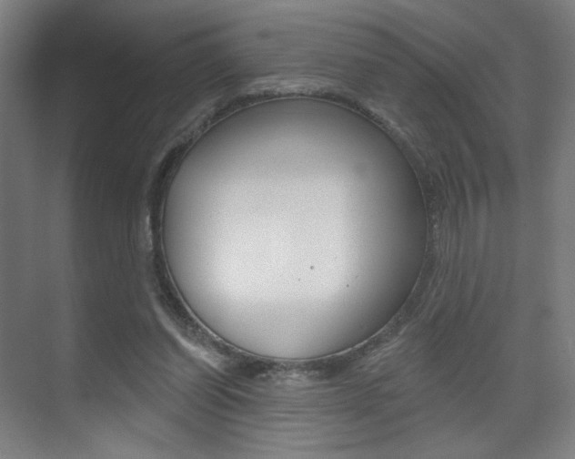 X0000075350254200609080820