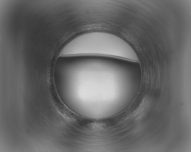 X0000075350255200609080820