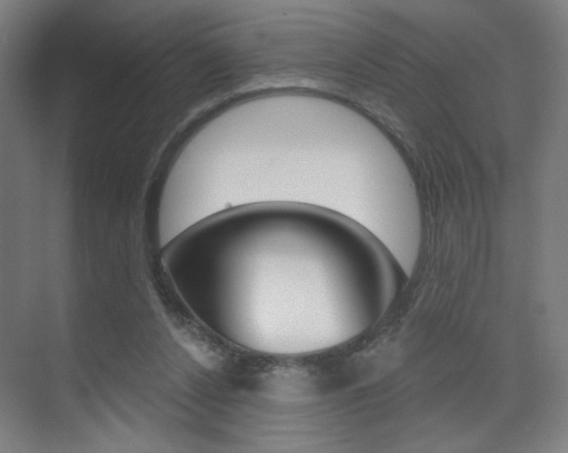 X0000075350256200609080820