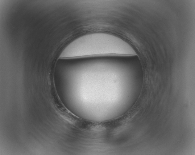 X0000075350258200609080820