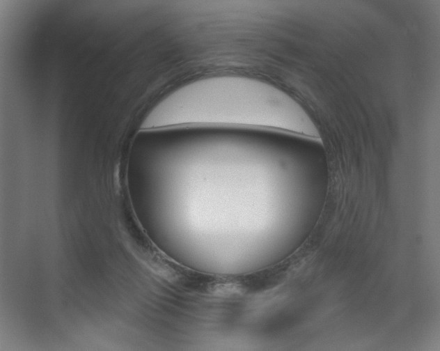X0000075350262200609080820