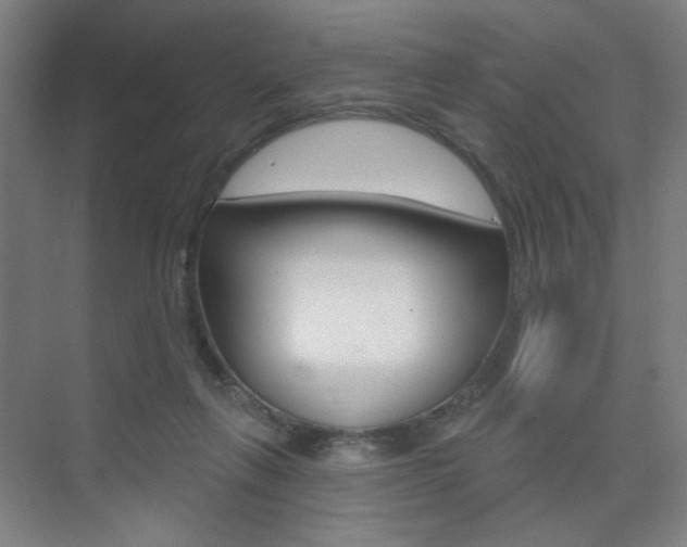 X0000075350263200609080820