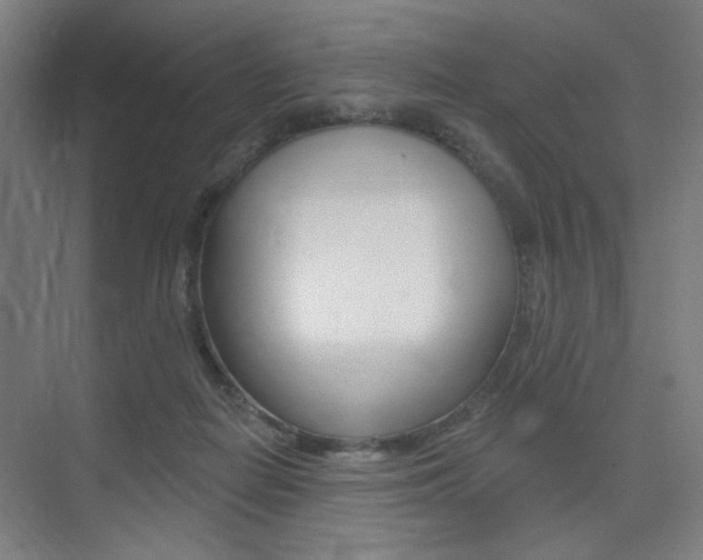 X0000075350266200609080820