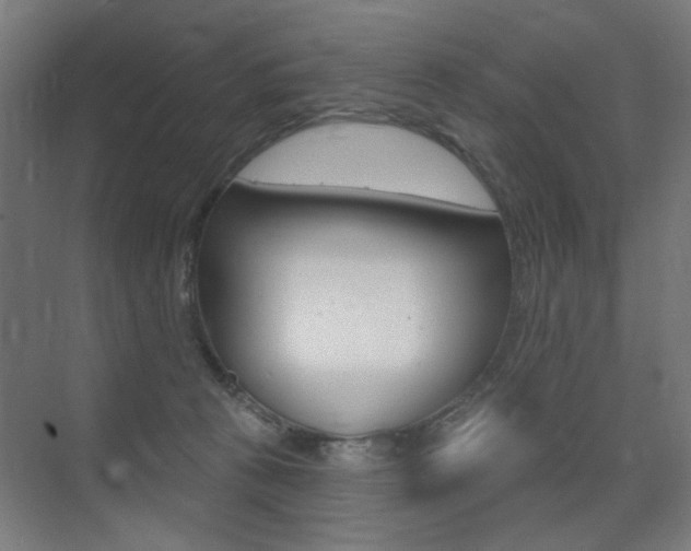 X0000075350273200609080820