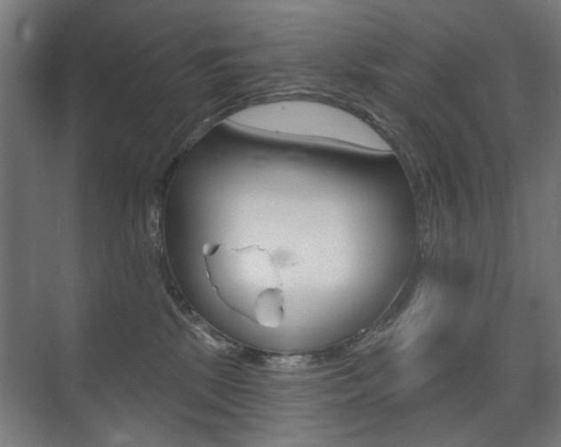 X0000075350281200609080820
