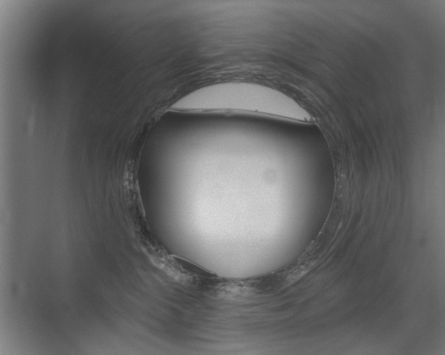 X0000075350284200609080820