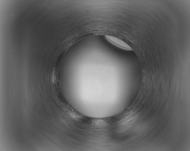 X0000075350287200609080821
