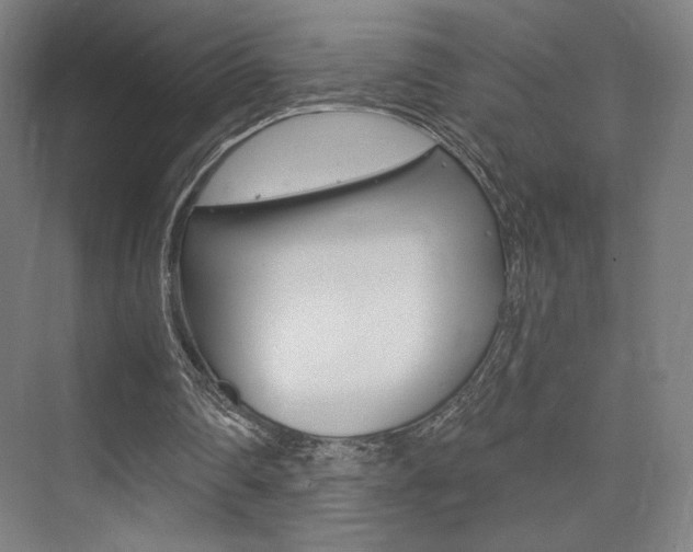 X0000075350290200609080820