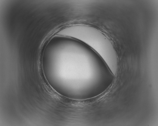 X0000075350293200609080820