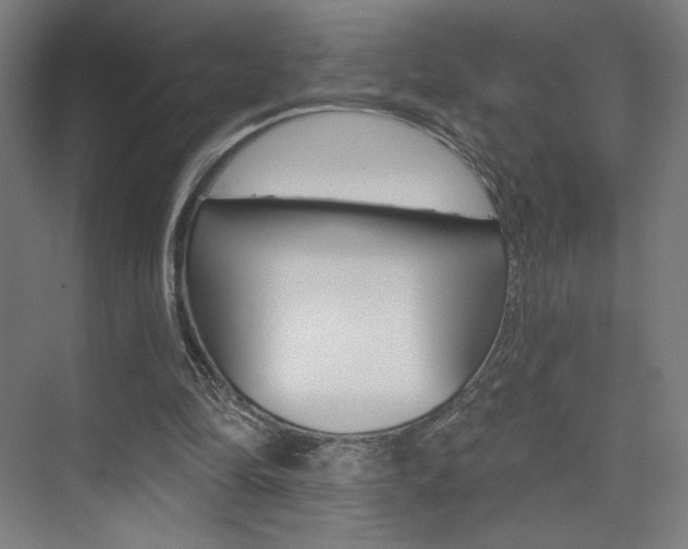 X0000075350294200609080820