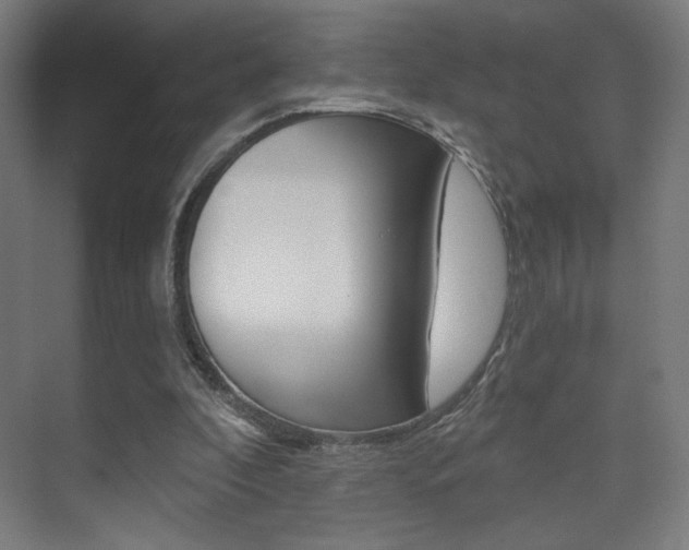 X0000075350296200609080820
