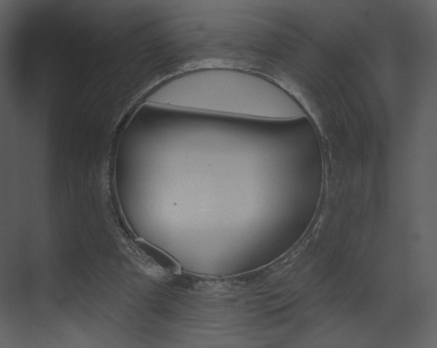 X0000075350297200609080820
