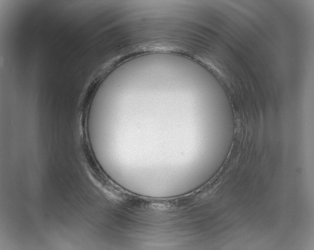 X0000075350302200609080820
