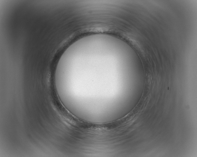 X0000075350304200609080819