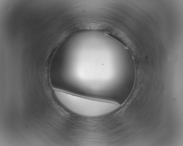 X0000075350305200609080819