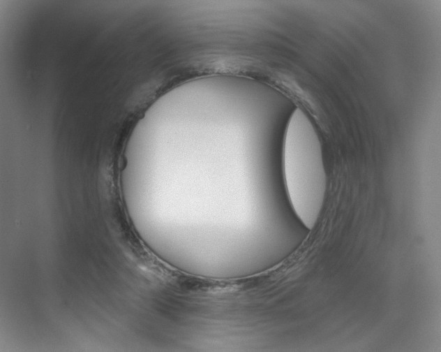 X0000075350306200609080819