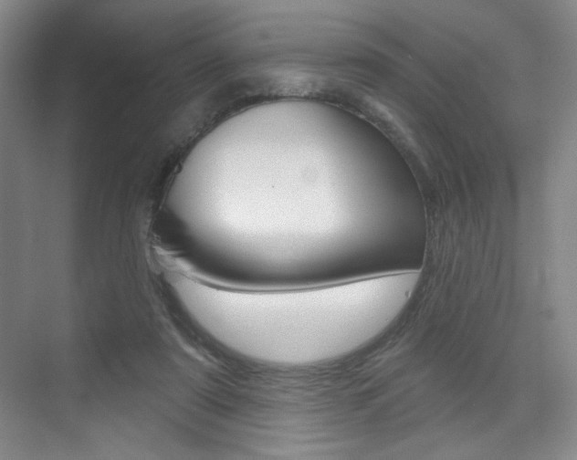 X0000075350307200609080819