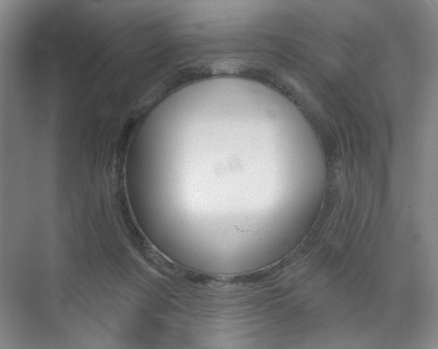 X0000075350311200609080819