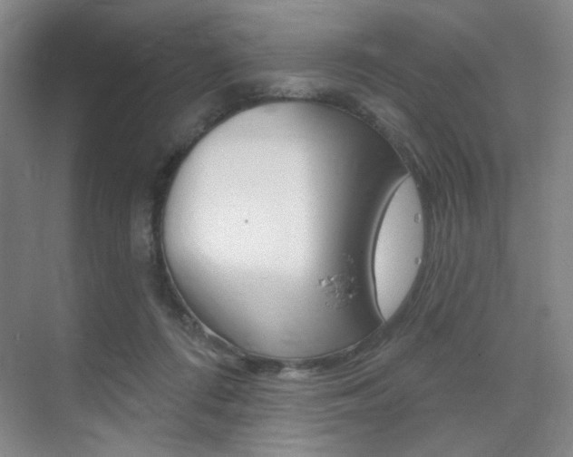 X0000075350312200609080819