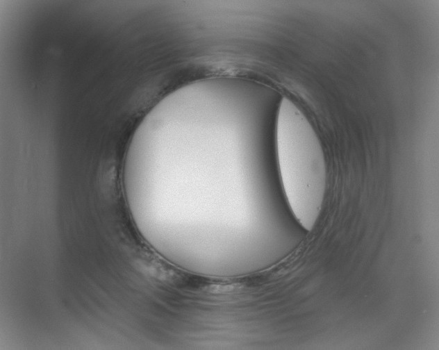 X0000075350314200609080819