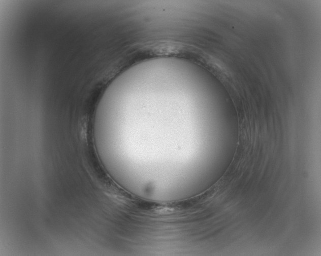 X0000075350315200609080819
