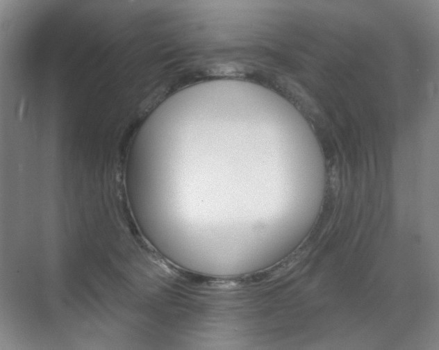 X0000075350322200609080819