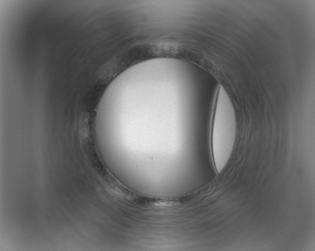 X0000075350323200609080819