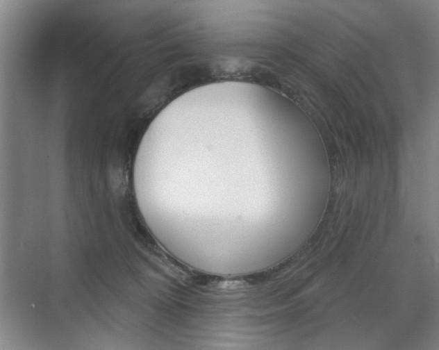 X0000075350324200609080819