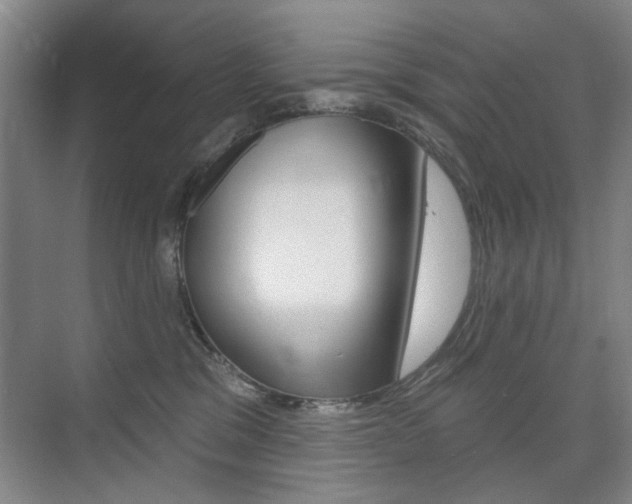 X0000075350329200609080819