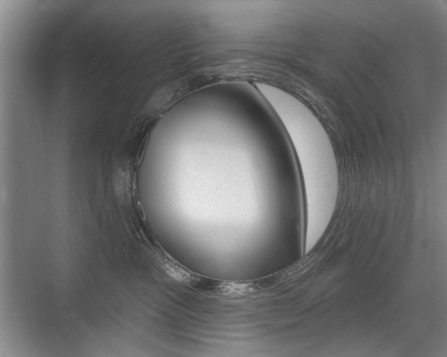X0000075350333200609080819