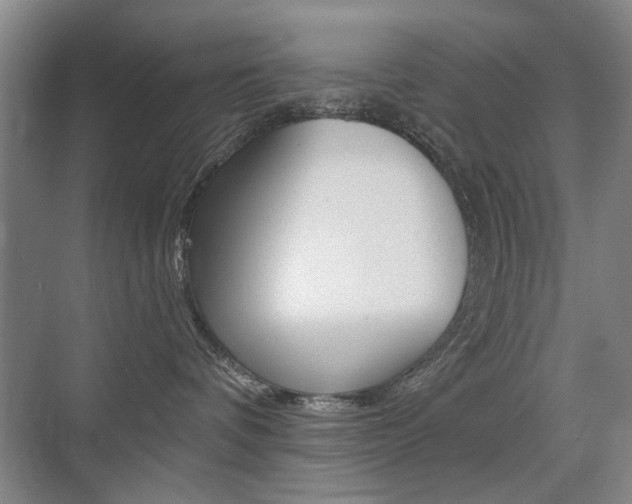 X0000075350336200609080819