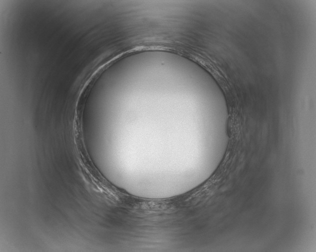 X0000075350338200609080818