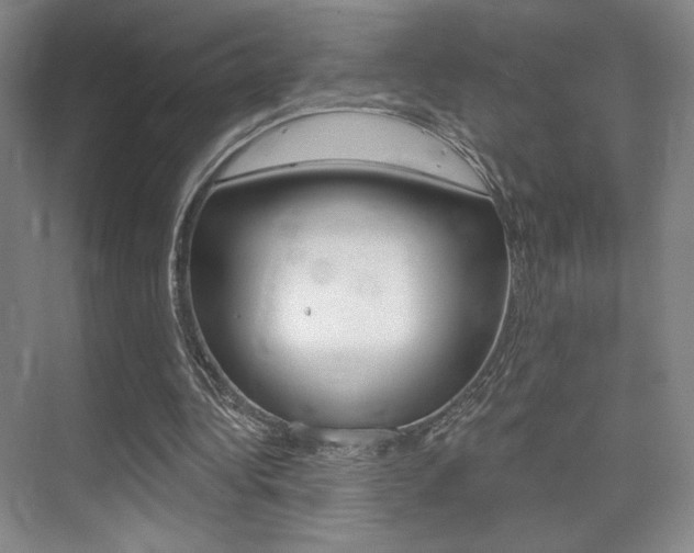 X0000075350340200609080818