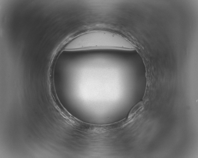 X0000075350341200609080818