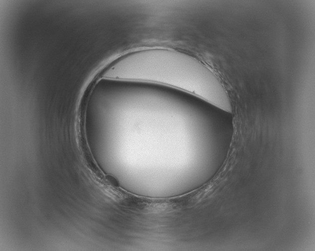 X0000075350342200609080818