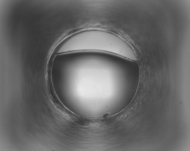 X0000075350344200609080818