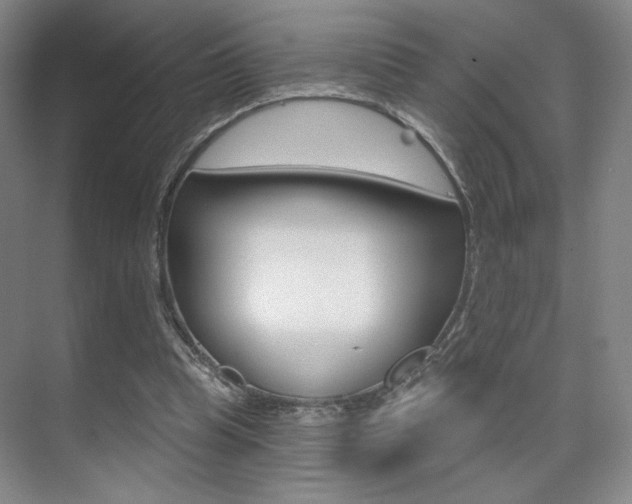 X0000075350345200609080818