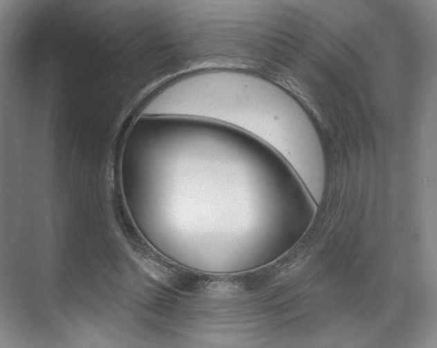 X0000075350348200609080818