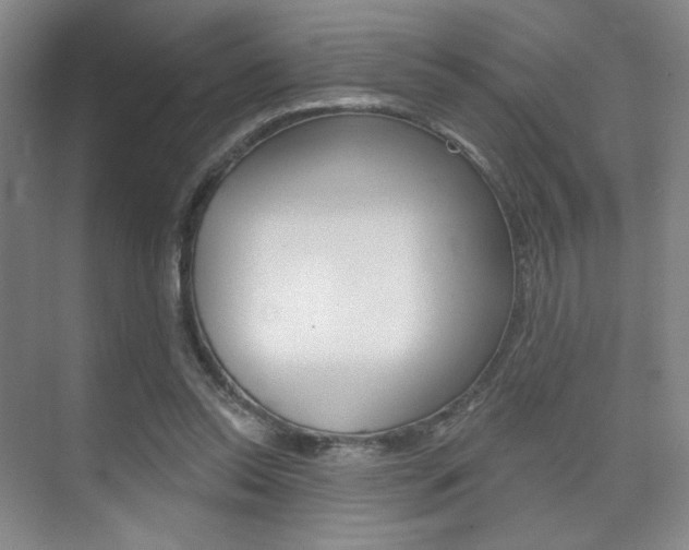 X0000075350350200609080818