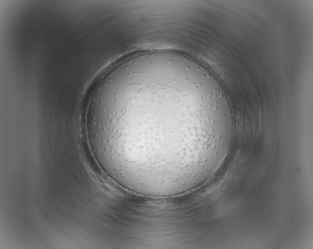 X0000075350351200609080818