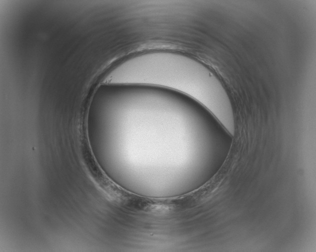 X0000075350352200609080818