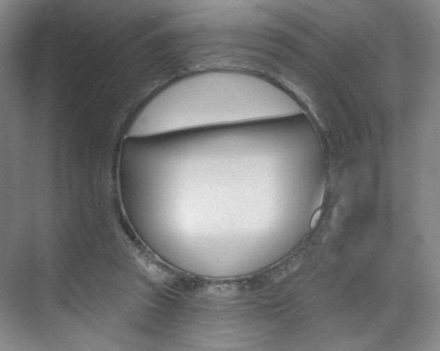 X0000075350353200609080818