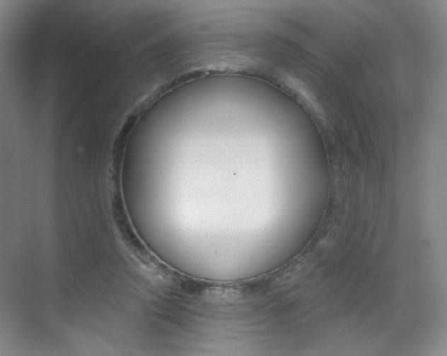 X0000075350354200609080818