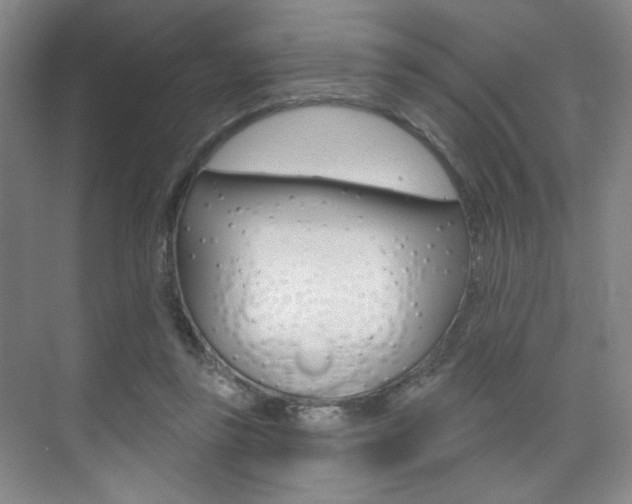 X0000075350355200609080818