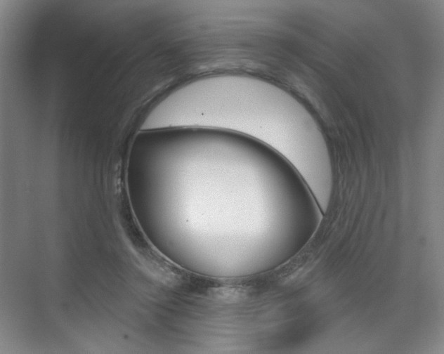X0000075350356200609080818