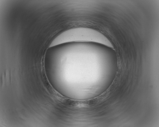 X0000075350360200609080819